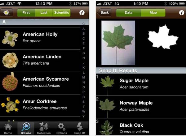 Leafsnap, identifica los árboles que te rodean con esta aplicación para iPhone y iPad 2