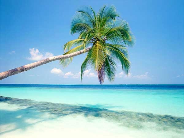 apps viajes