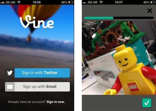 vine