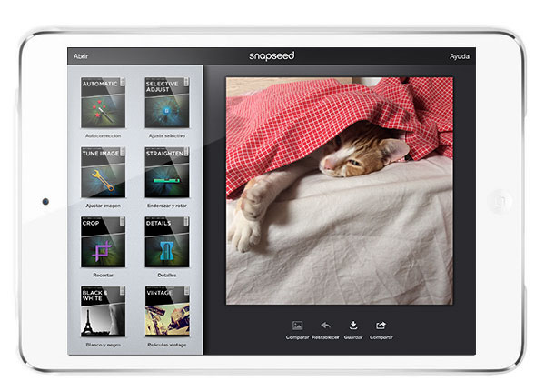 iPad Snapseed