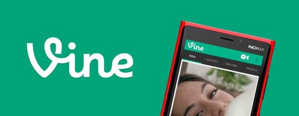 vine contador