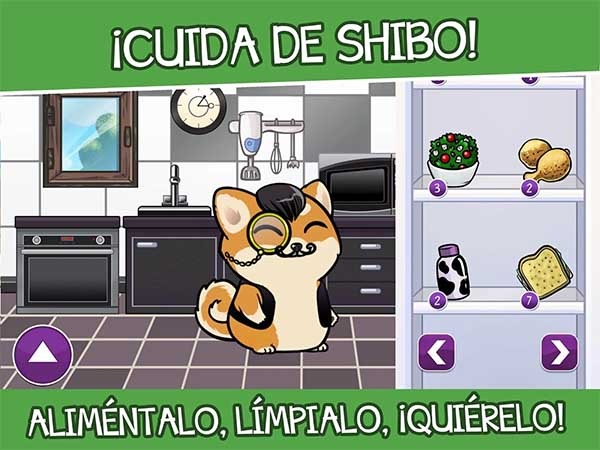 shibo