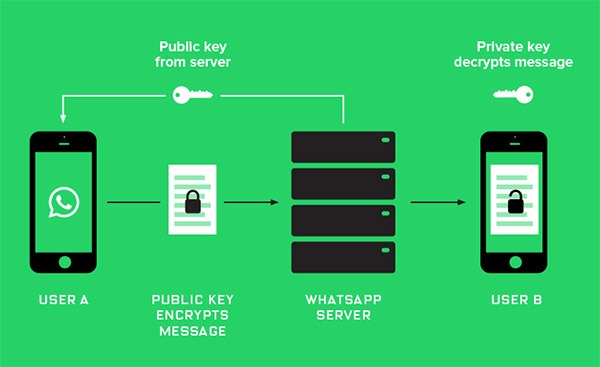 cómo funciona la seguridad de WhatsApp