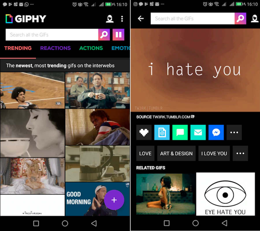 giphy app