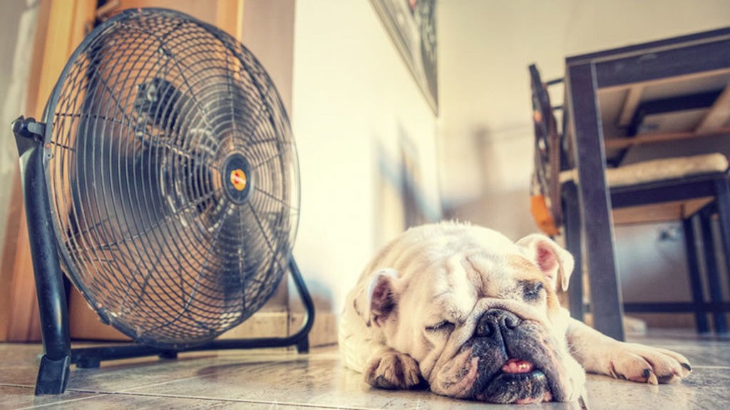 5 aplicaciones de ventilador para sobrevivir al calor del verano con tu móvil