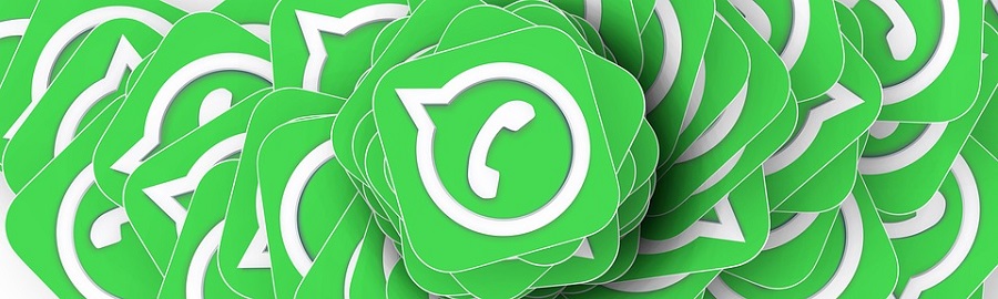 Cómo descargar nuevos stickers para WhatsApp