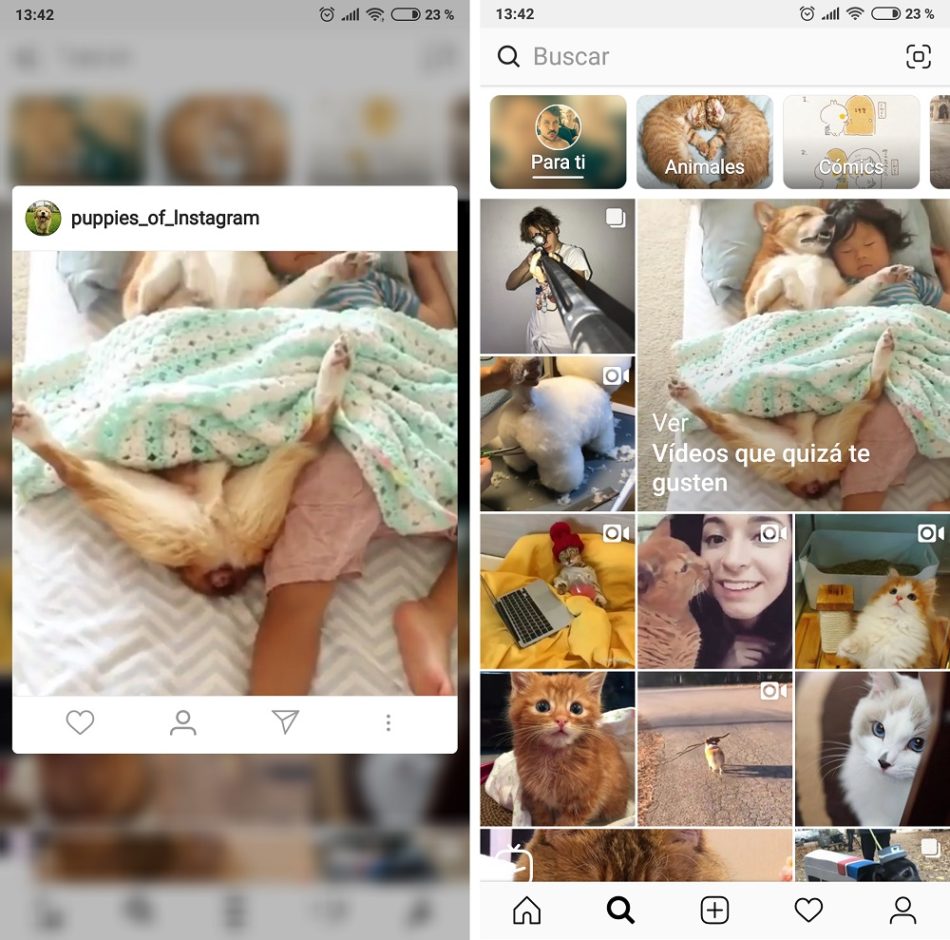 fotos instagram