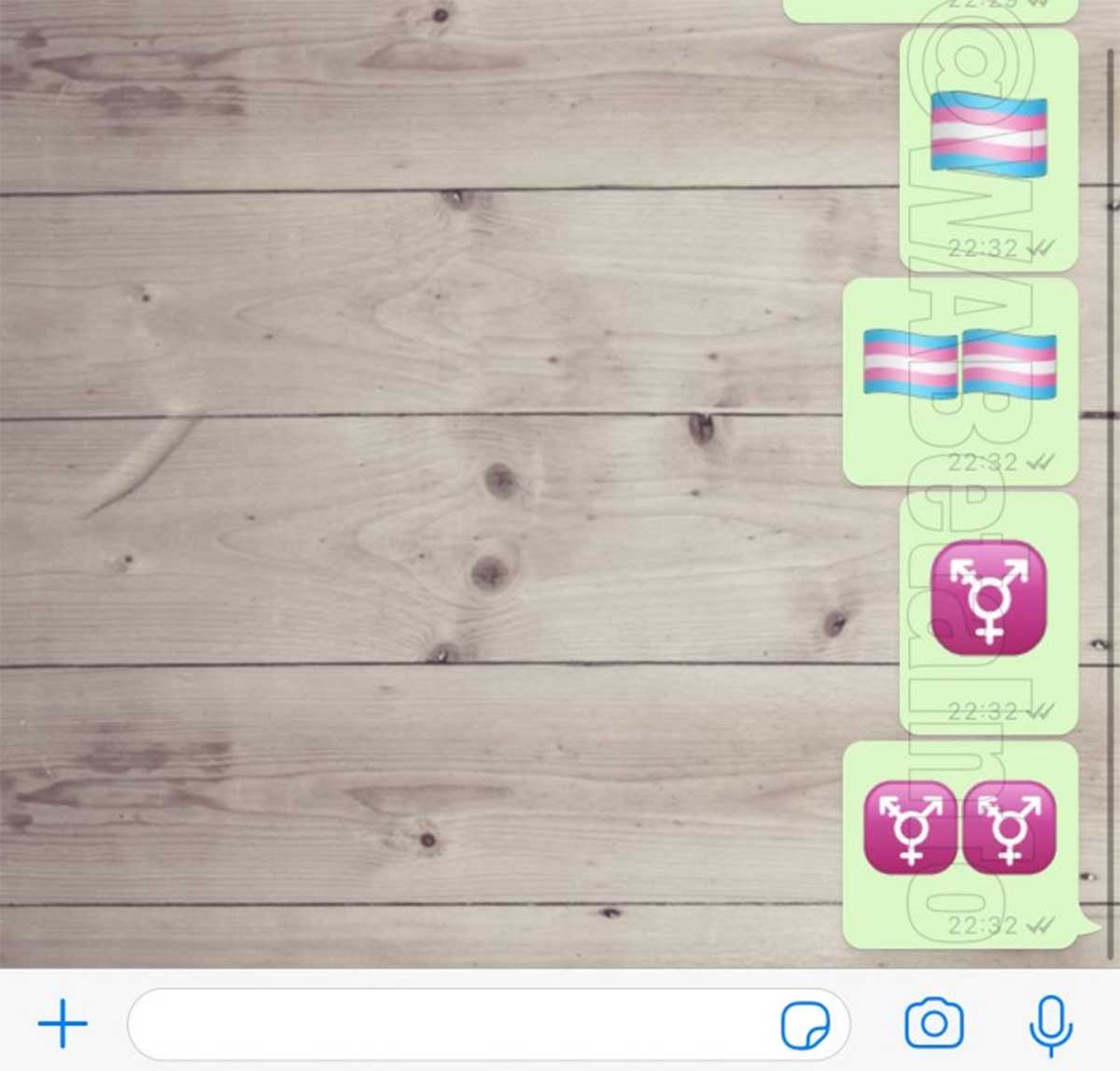 WhatsApp trans