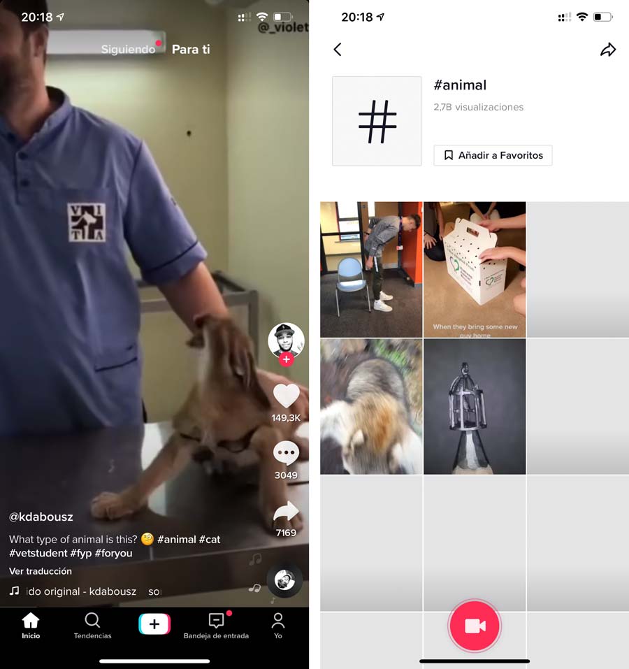 hastag_tiktok