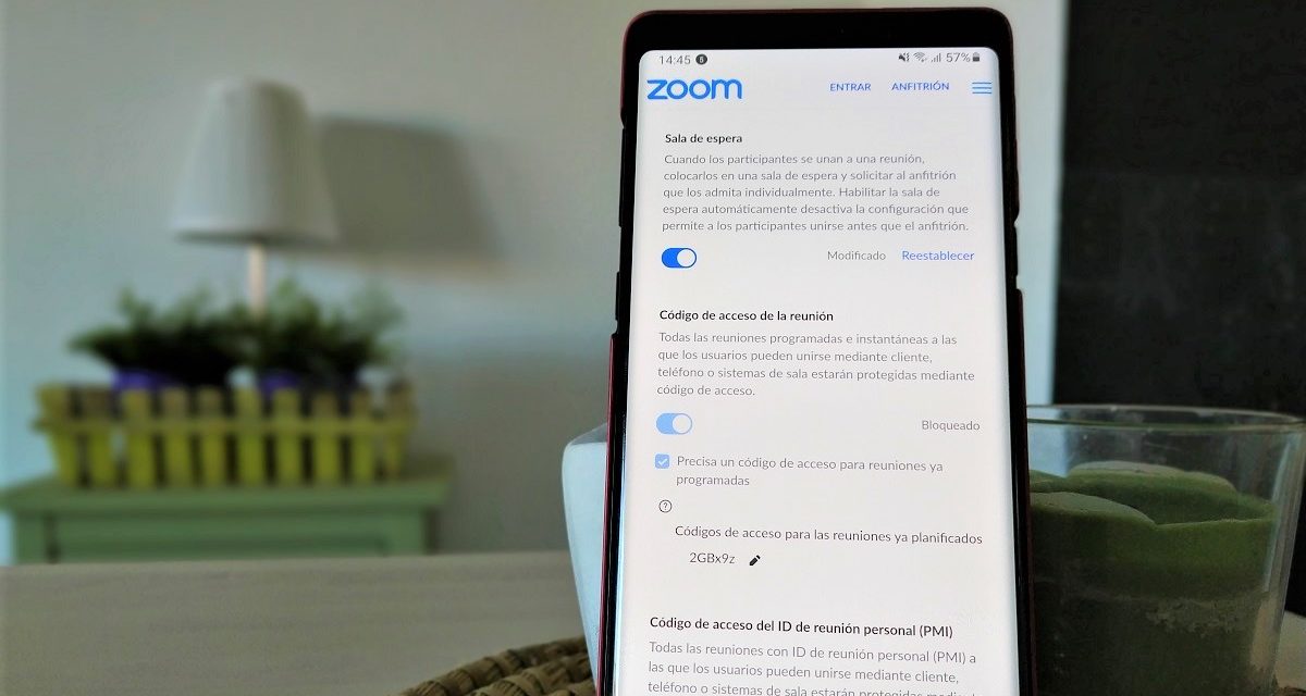Cómo proteger tus reuines por Zoom