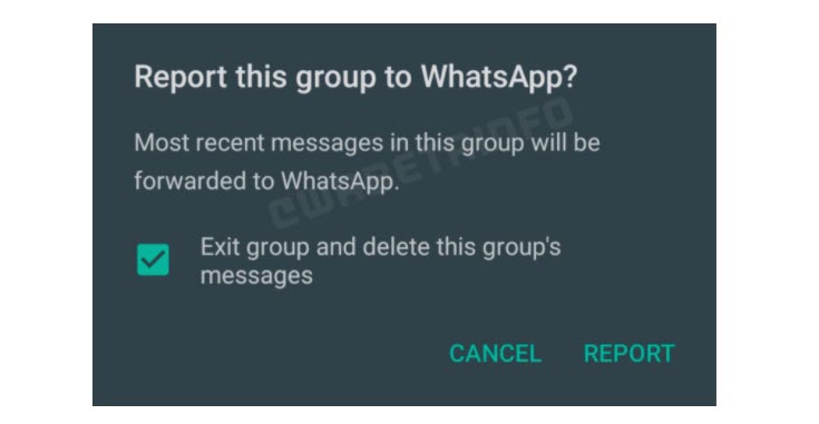 Cómo reportar o denunciar todo un grupo de WhatsApp 4