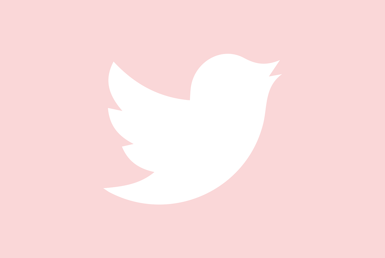 Cómo recuperar mi cuenta de Twitter