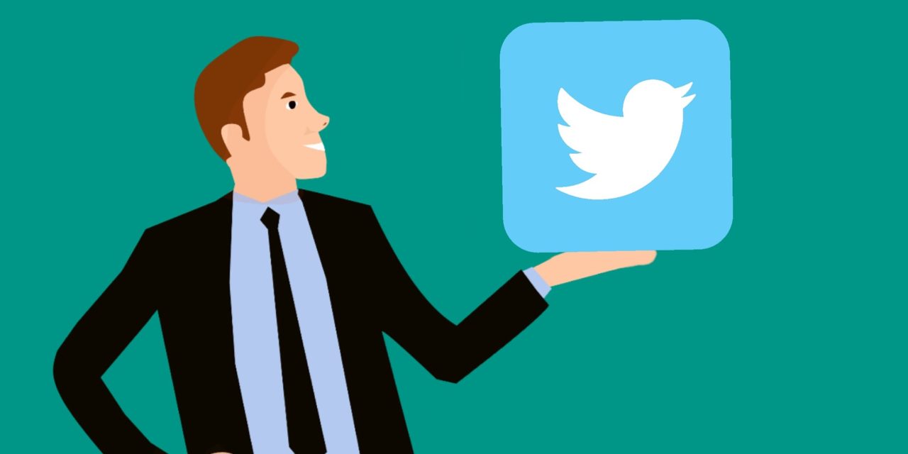 como-saber-quien-visita-mi-twitter