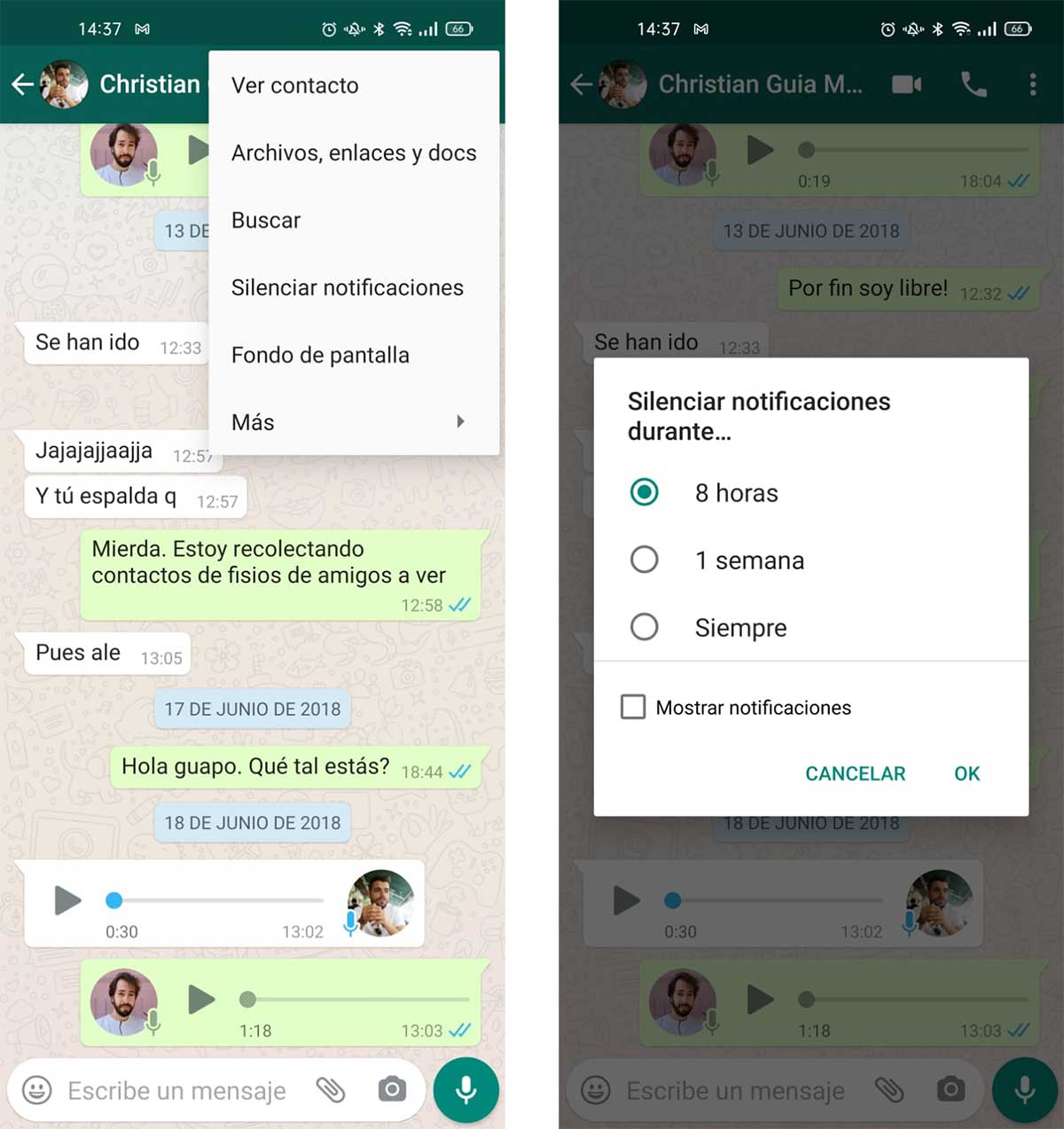 Retener Comida romano ▷ Qué pasa cuando se archiva un chat en WhatsApp