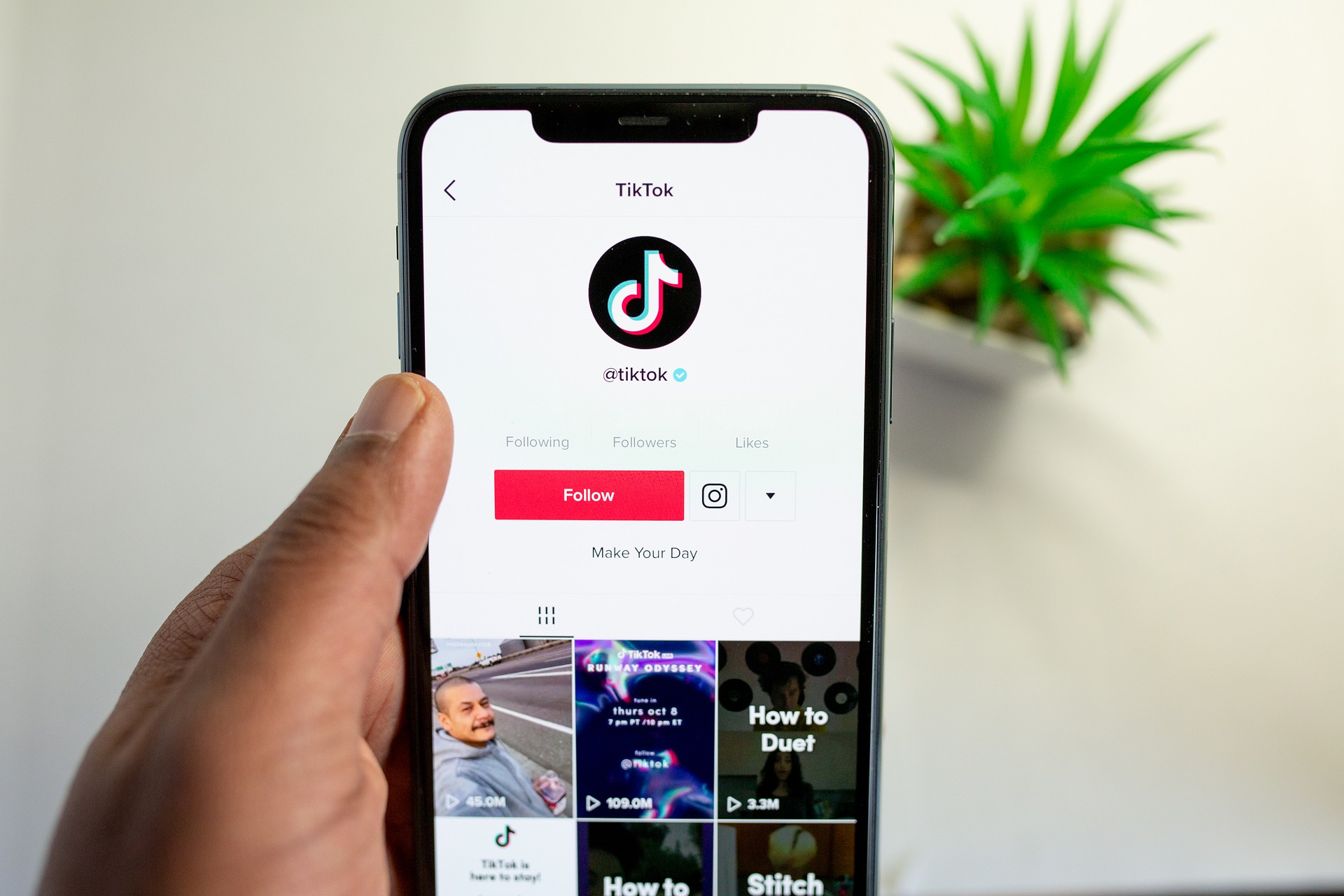 Cómo eliminar la foto de perfil en TikTok