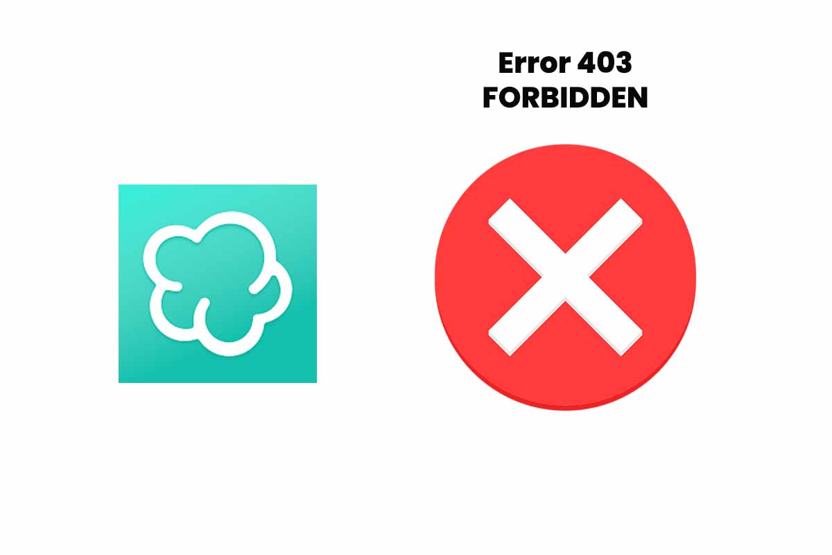 por-que-aparece-el-error-403-forbidden-al-entrar-en-wallapop-1