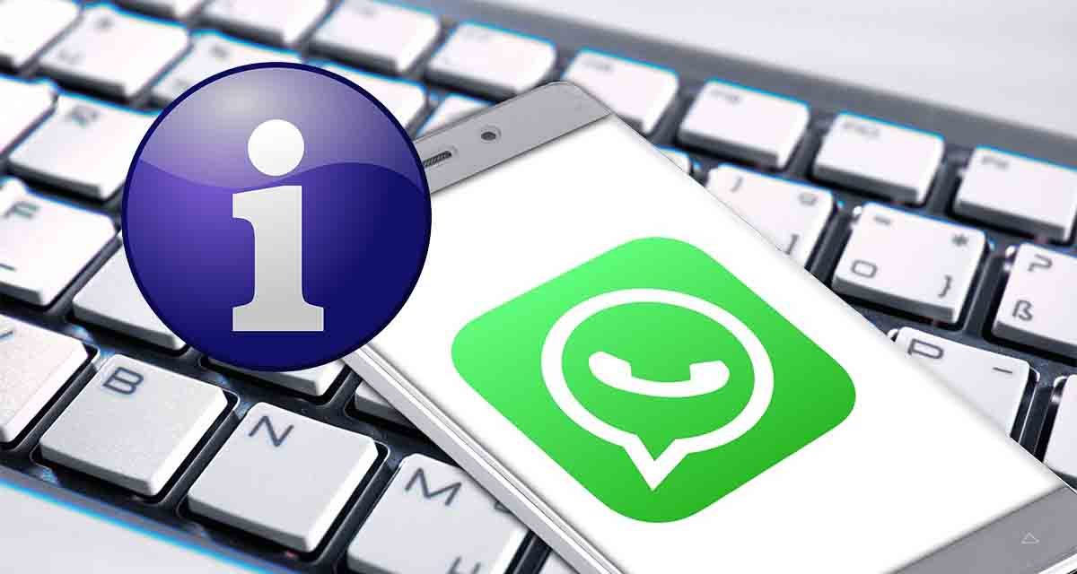 que-es-info-en-whatsapp-1