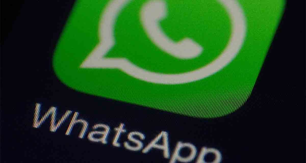 que-es-info-en-whatsapp-2