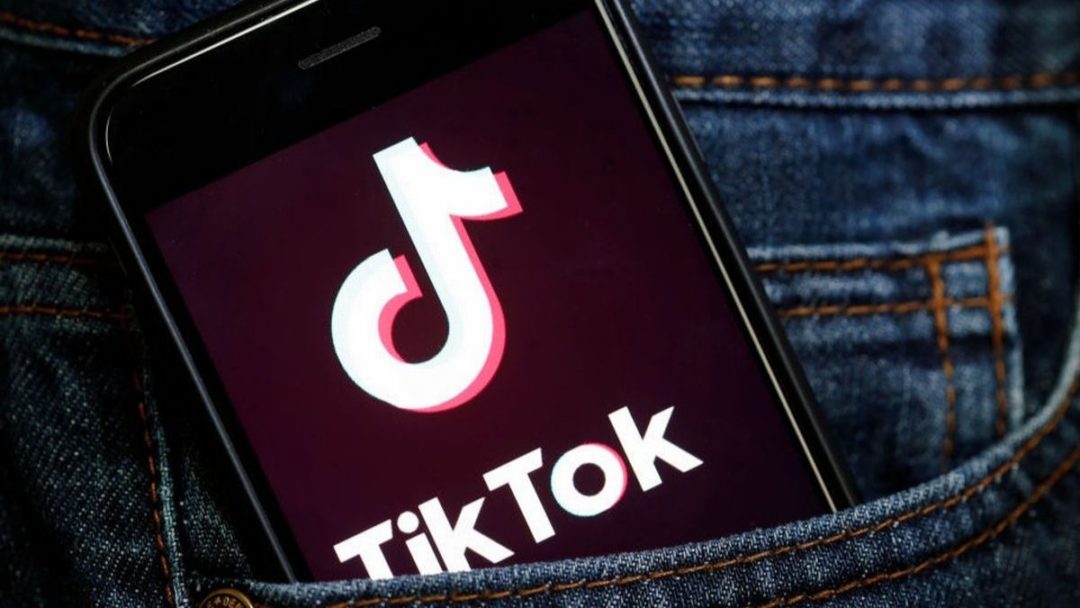 Cómo se hace el Flash Warning en TikTok