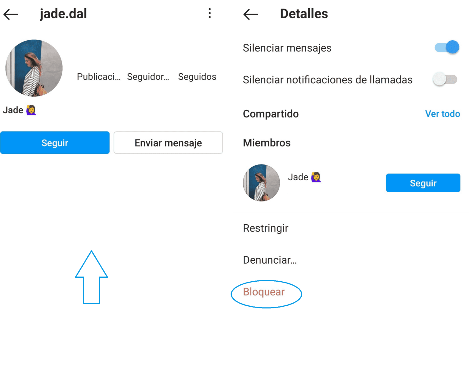 ️ Cómo bloquear todas las cuentas de un usuario de Instagram