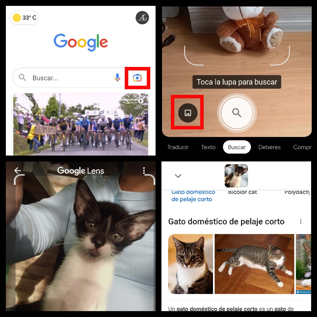Cómo buscar en Google con una foto desde el móvil 1