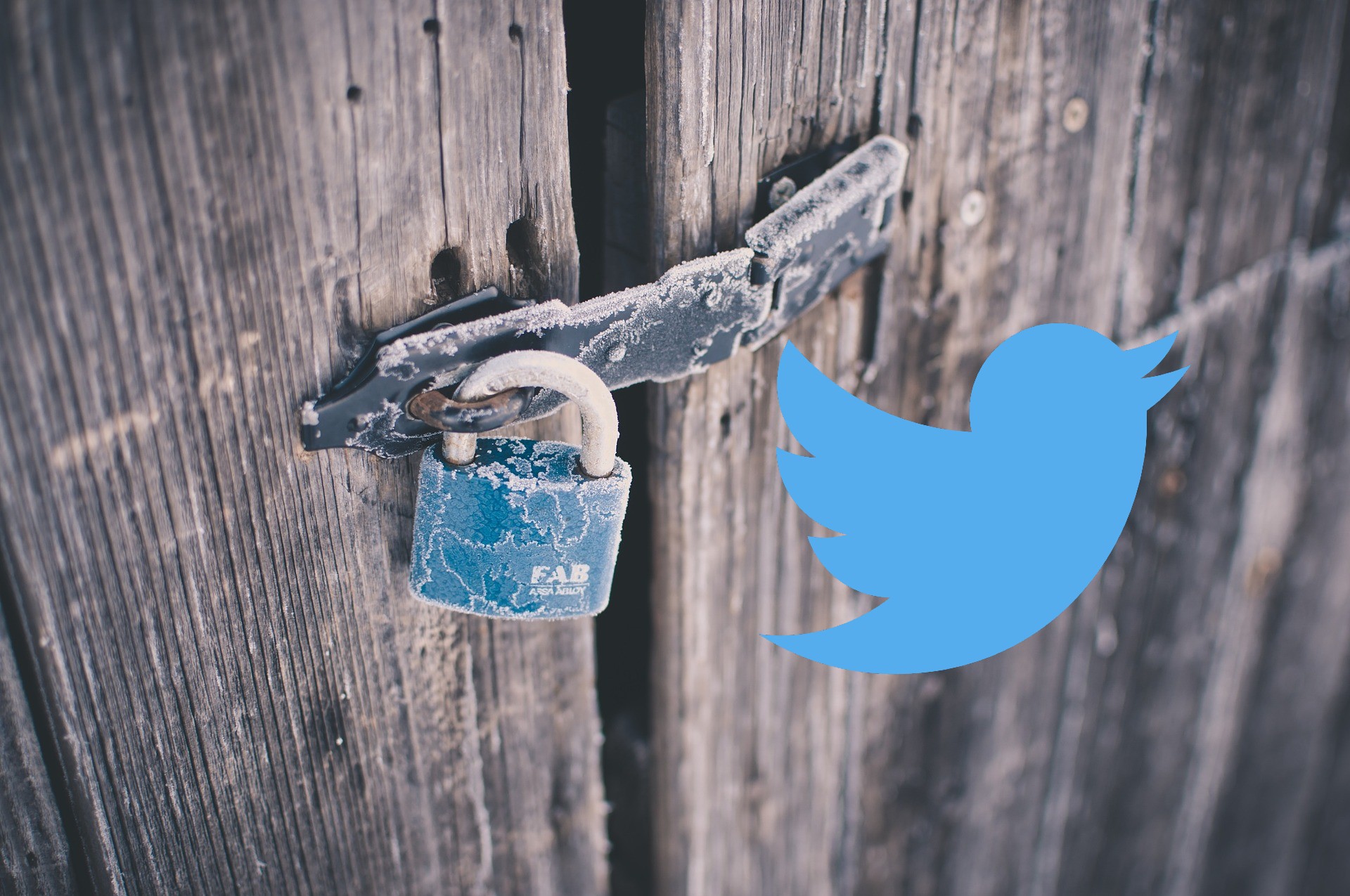 Cómo ver tweets de una cuenta privada