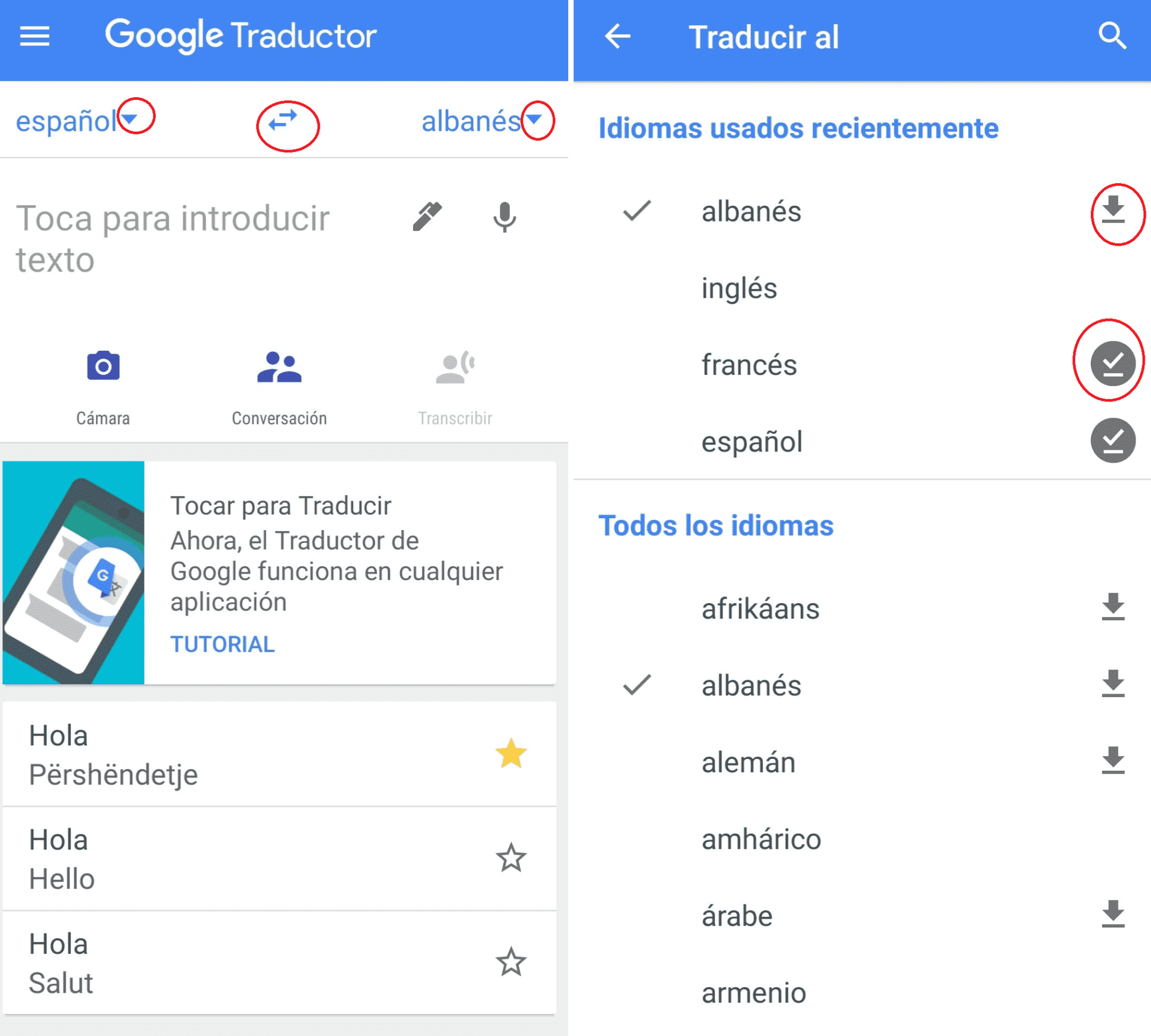 5 Ajustes Del Traductor De Google Que Deber as Conocer Tuexpertoapps