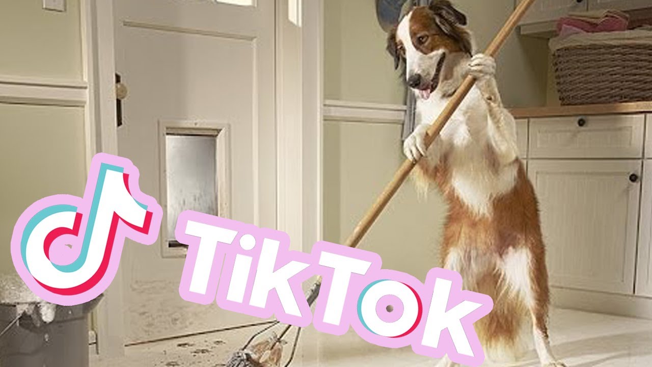 Los mejores vídeos de Esperancita en TikTok