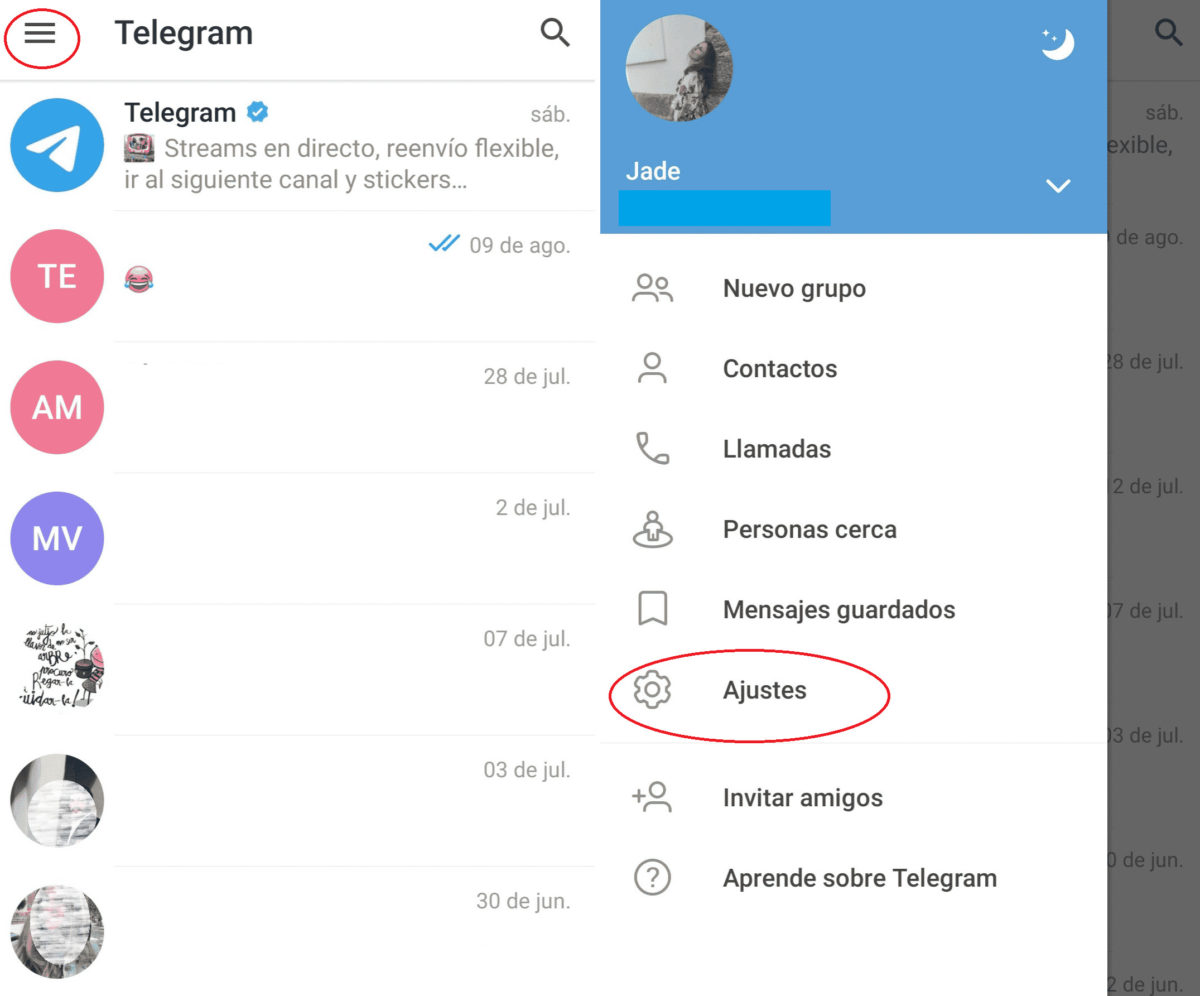 Oficial pistola Pacer ▶️ Cómo evitar que Telegram descargue archivos