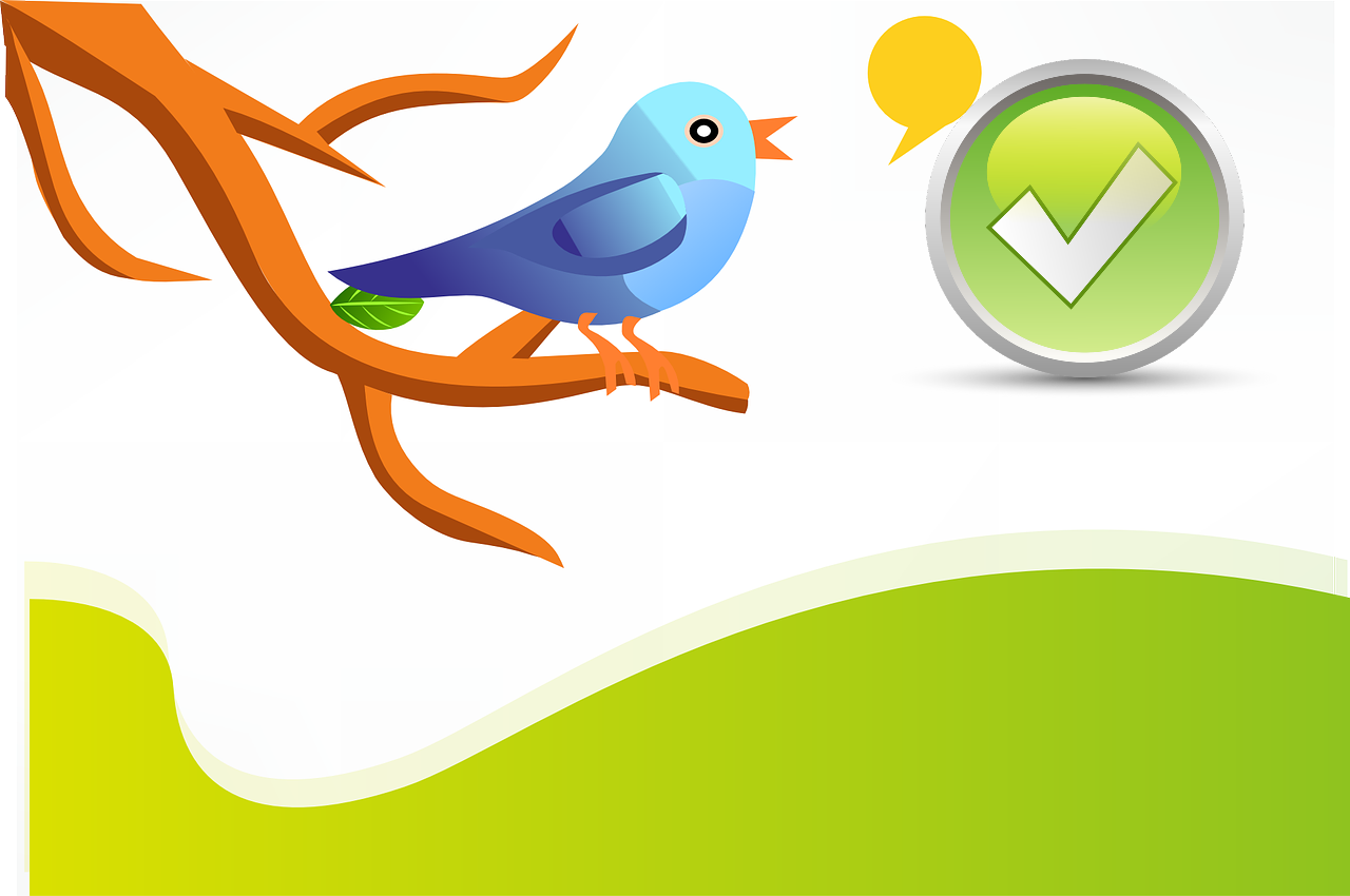 Cómo conseguir verificación en Twitter en septiembre 2021