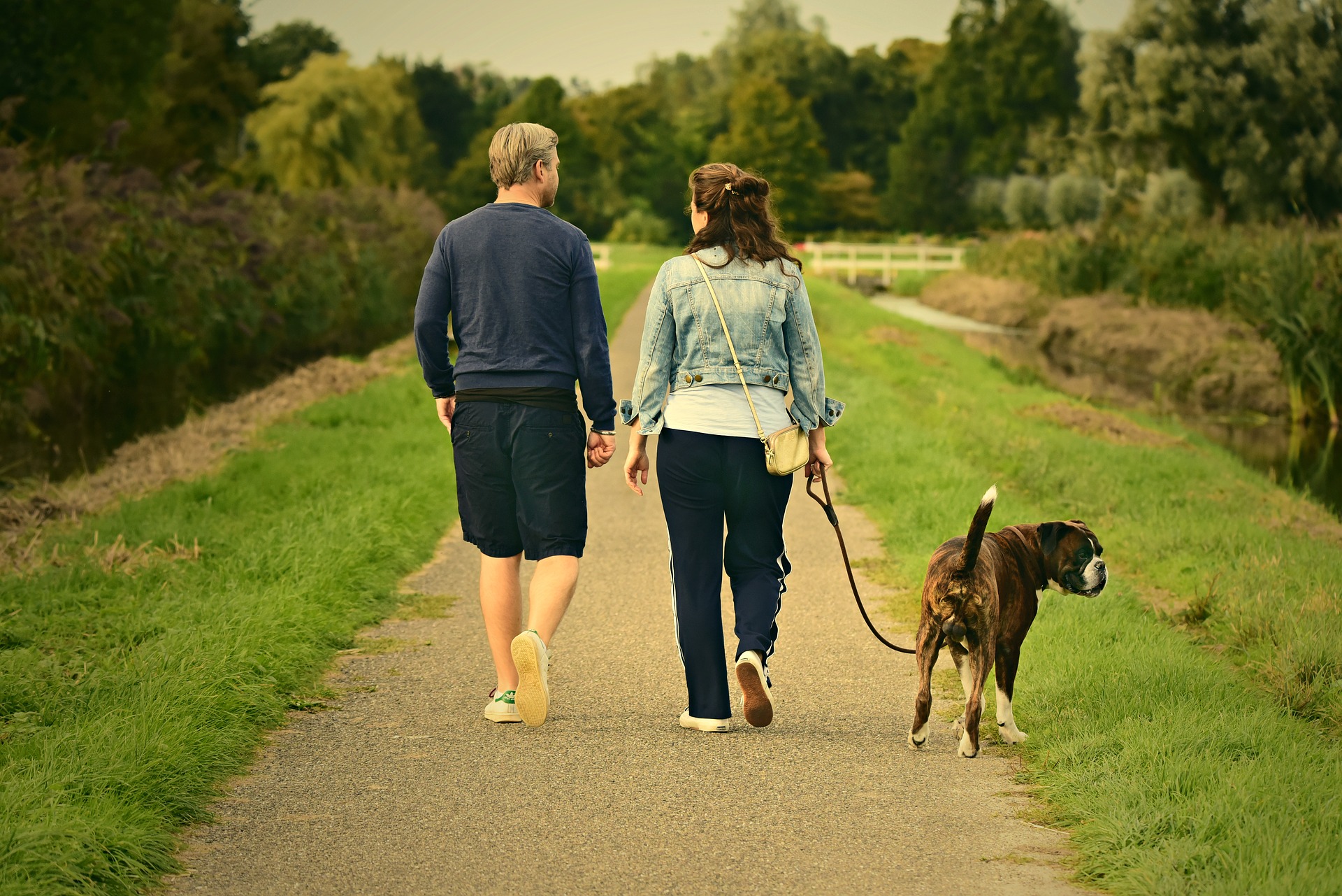 Así es el Tinder para perros con el que encontrar pareja en España