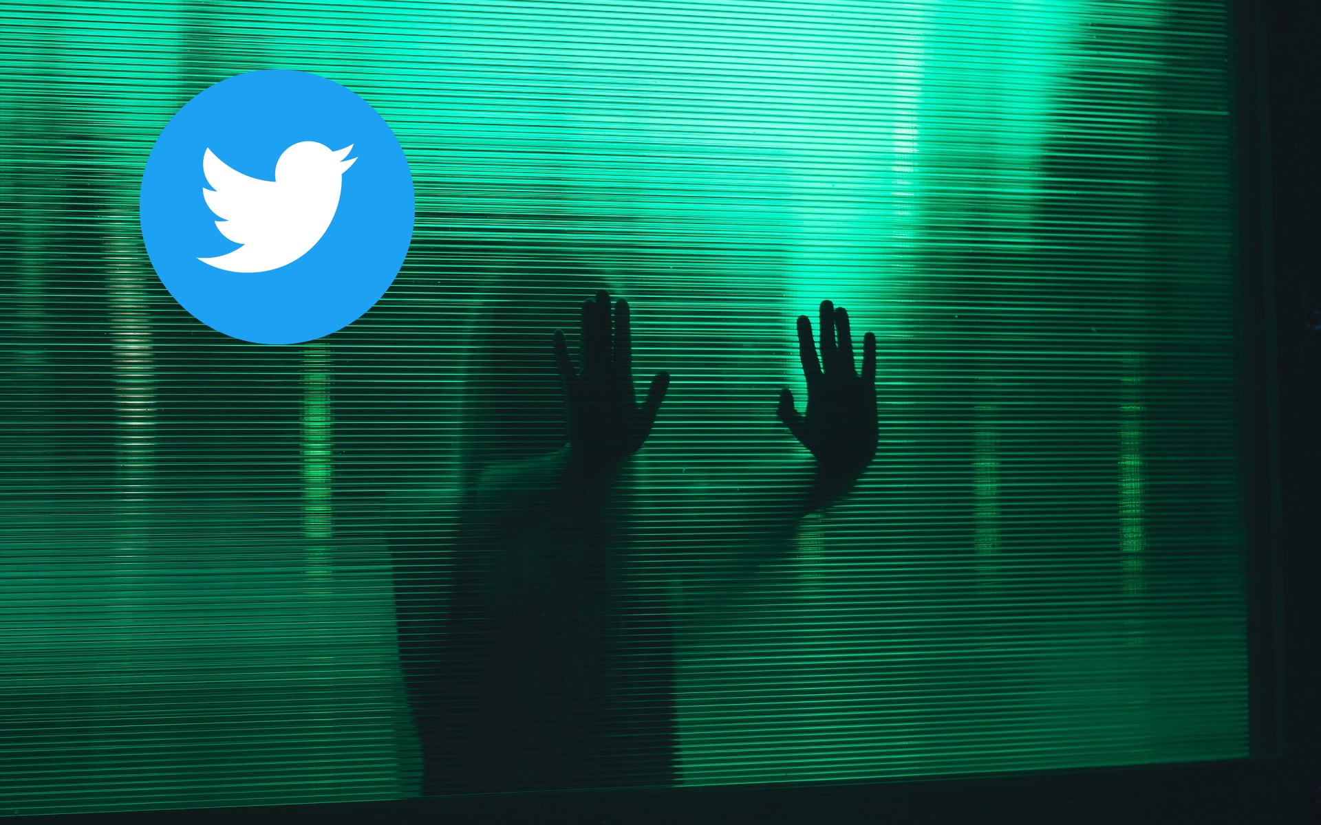 Por qué Twitter no me deja ver contenido delicado