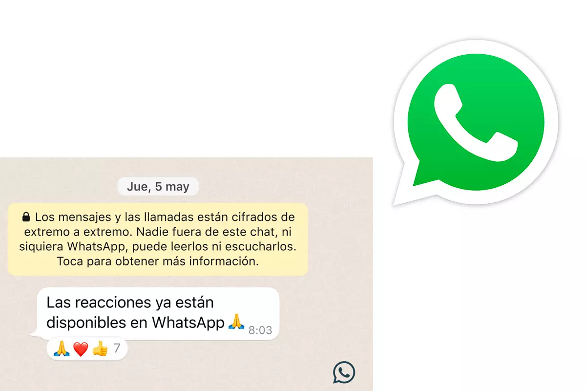 what-are-and-how-the-reactions-to-whatsapp-messages-1 work