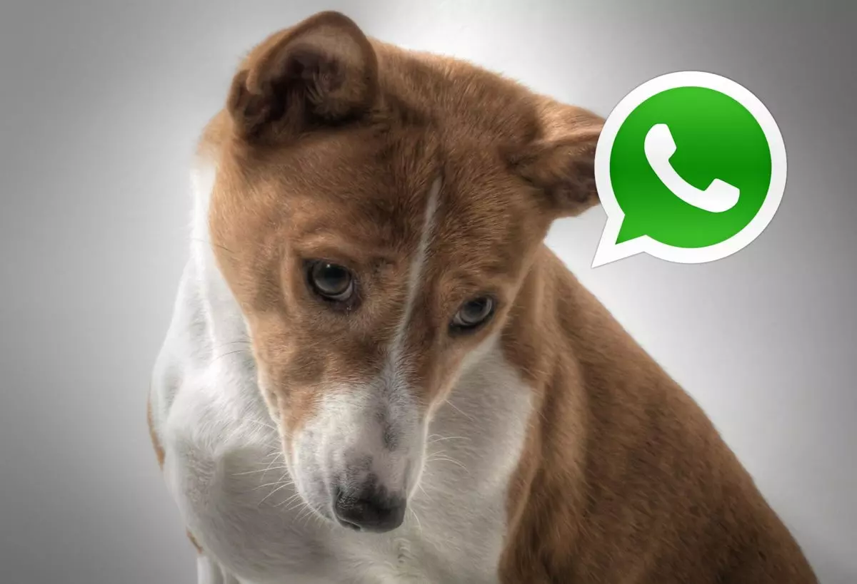The best phrases and images to apologize for WhatsApp