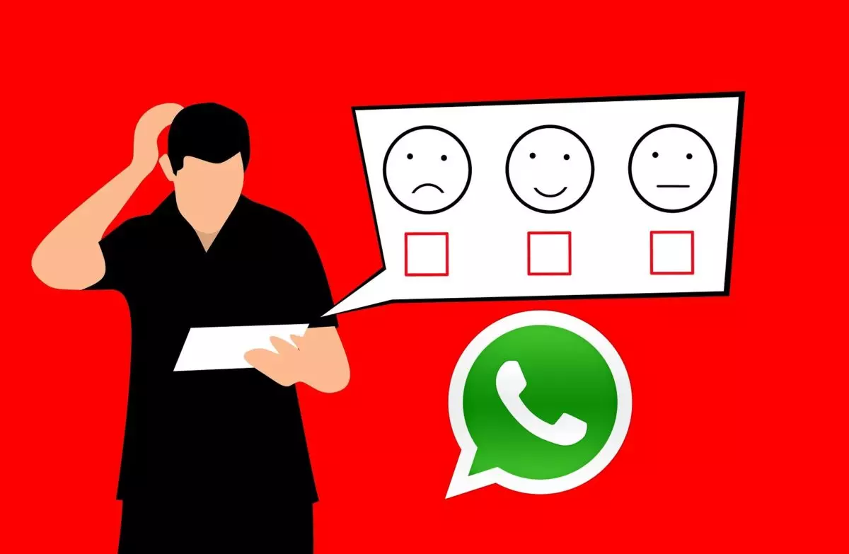How to do surveys with WhatsApp reactions