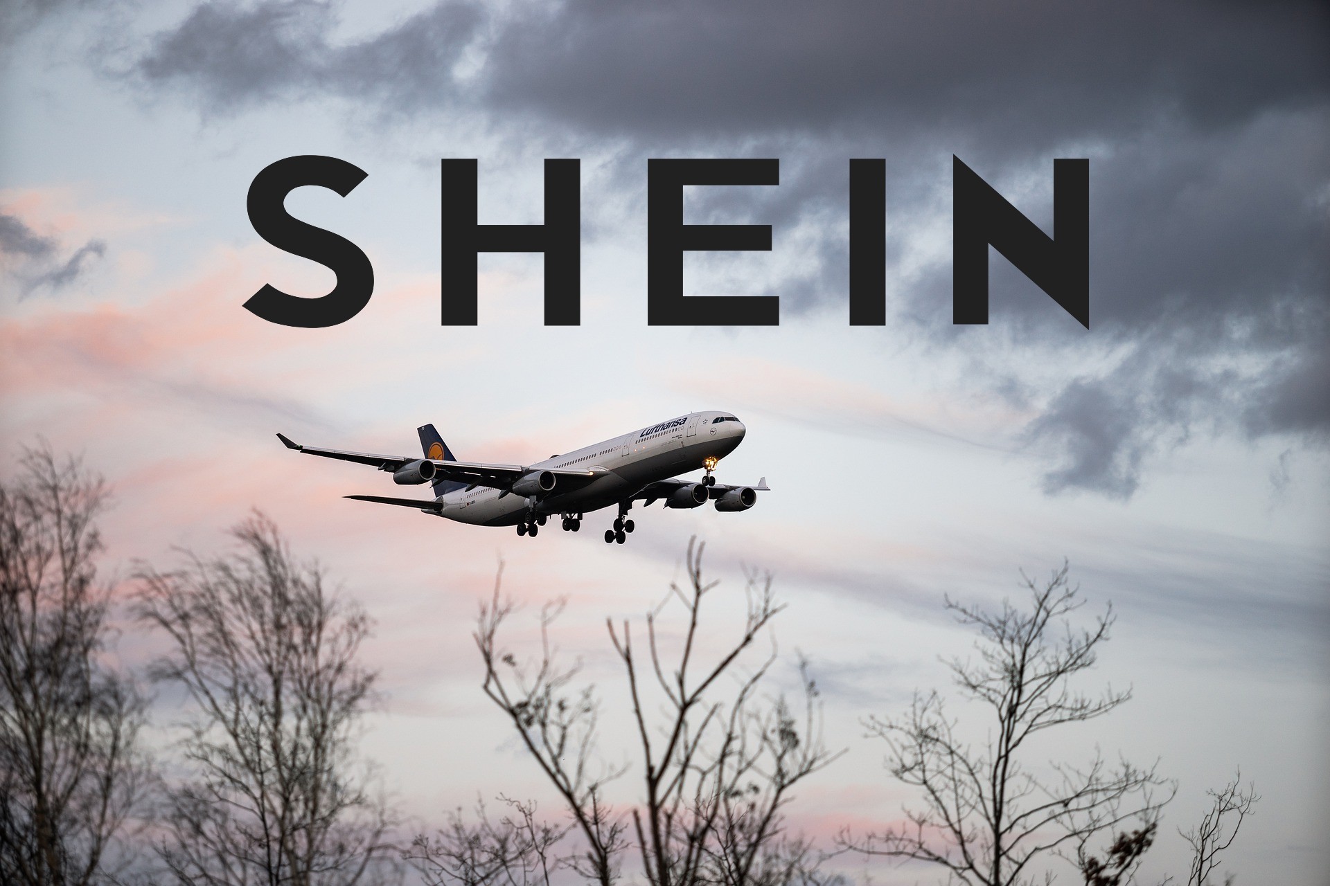 Qué significa que un pedido está en tránsito en Shein