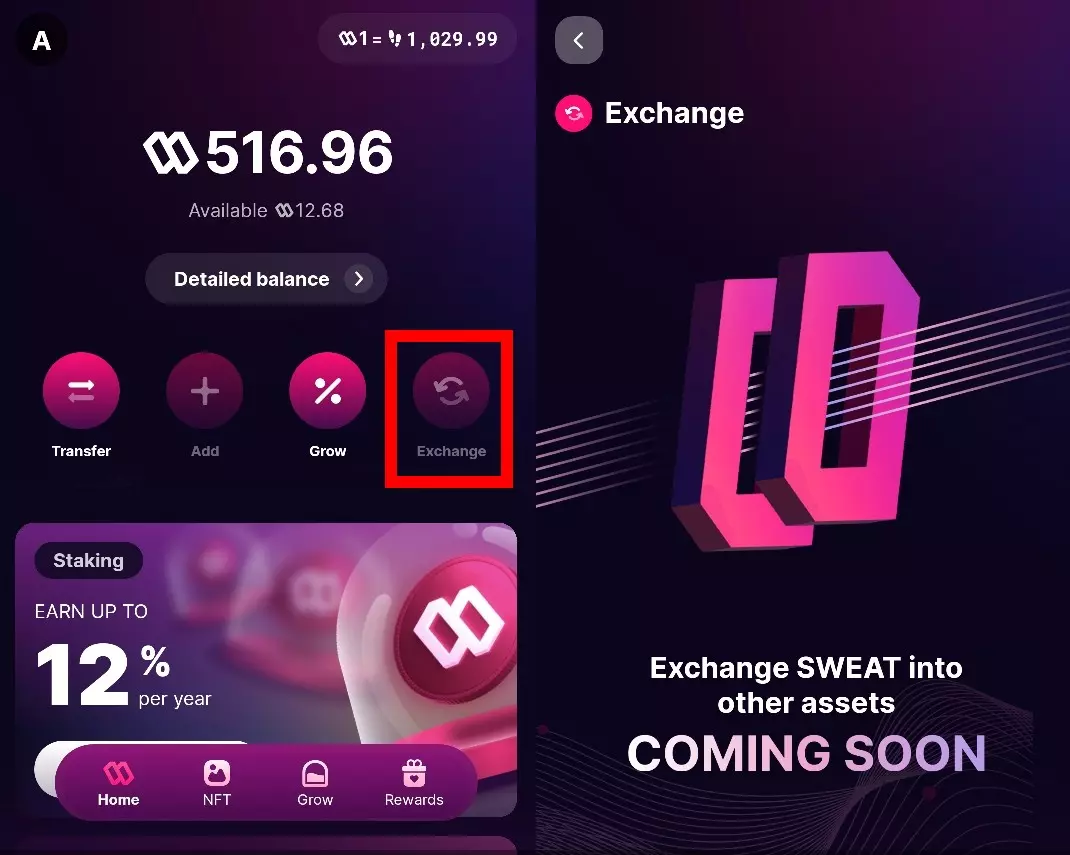 How to withdraw and collect real money from SWEAT Wallet 1