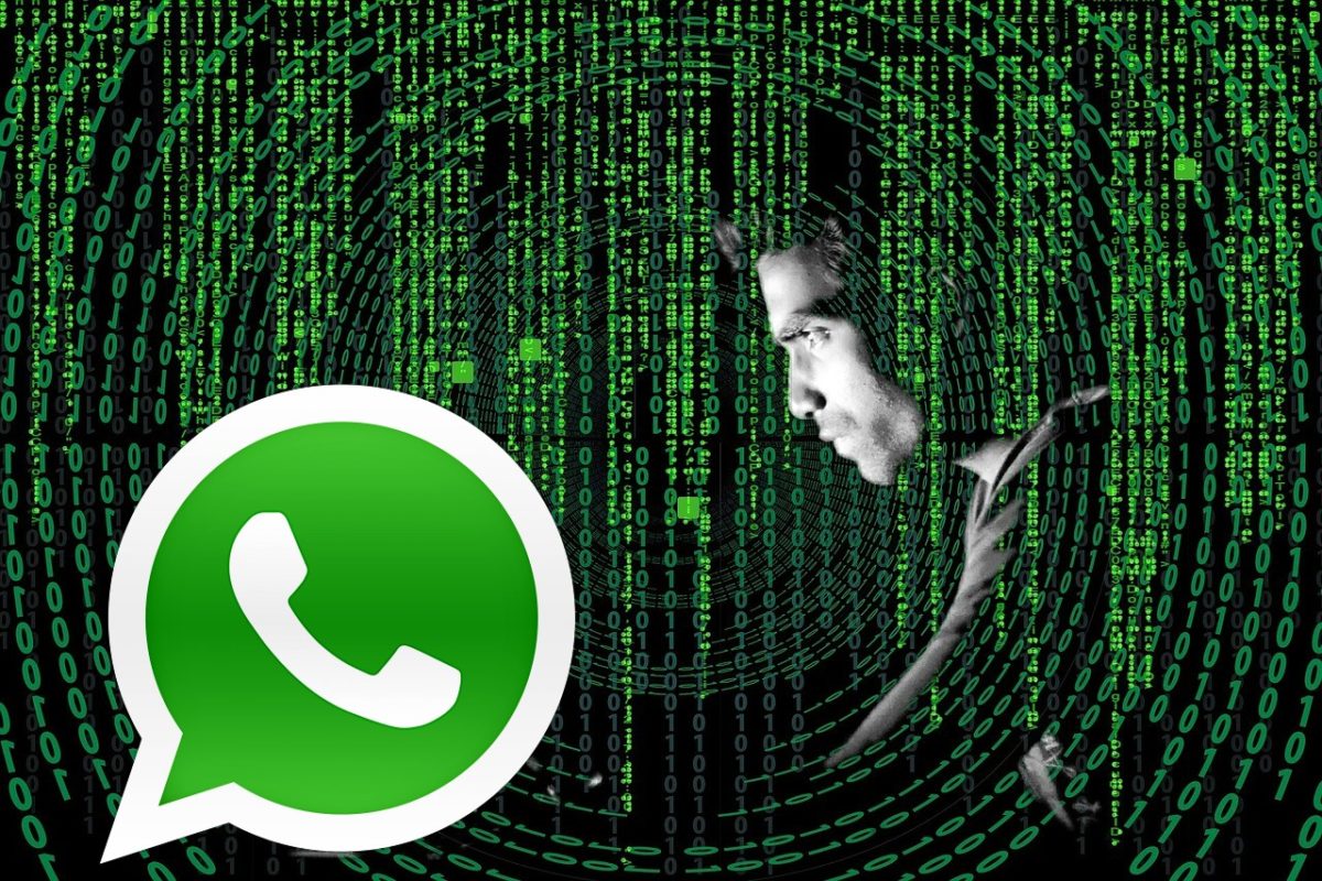 Cambió tu código de seguridad con un contacto de WhatsApp: qué significa