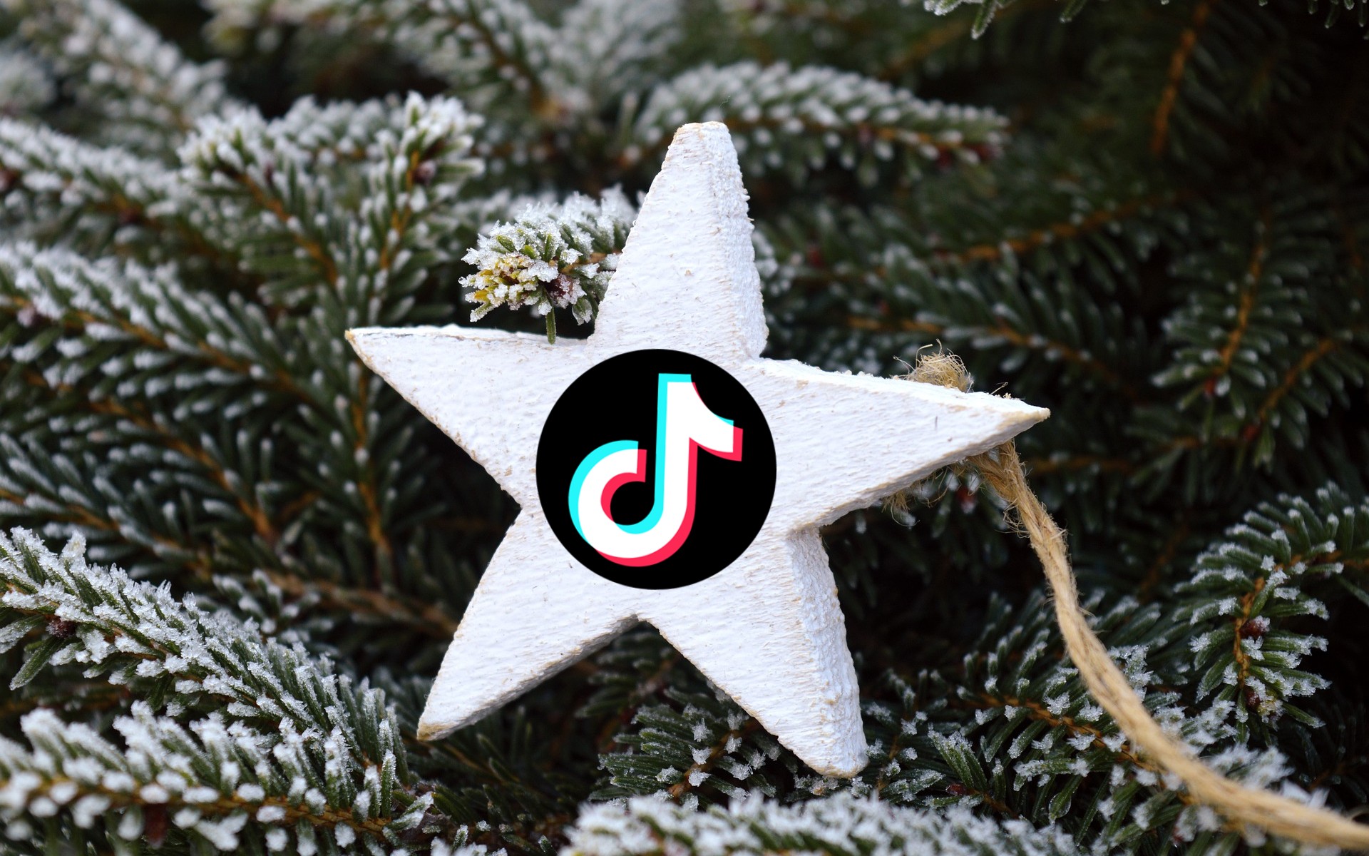Los mejores vídeos de TikTok para la Navidad de 2022