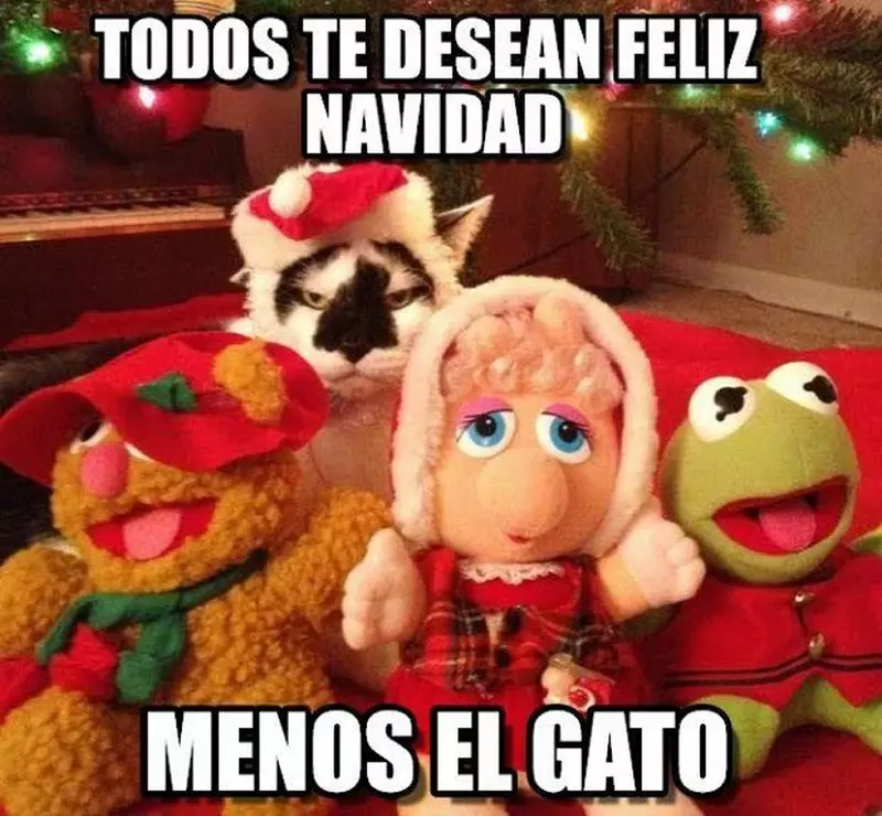 Meme Divertido De Gato Navideño 100+] Imágenes Divertidas De Navidad