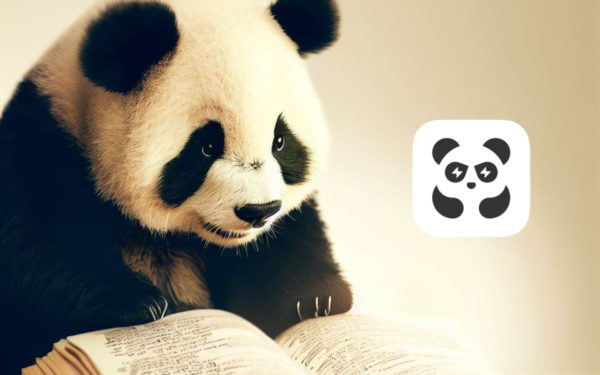 Tutorial de Pandabuy qué significan todos los términos y códigos de la app