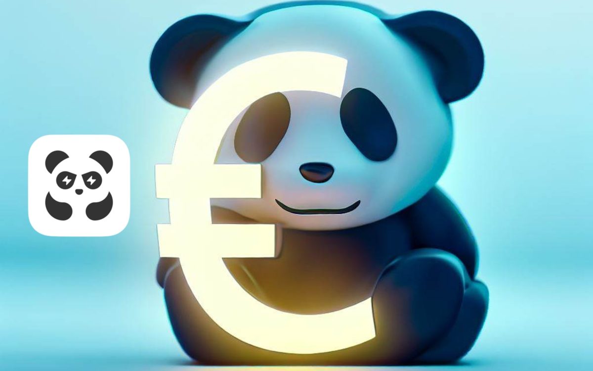 Cómo comprar en euros en Pandabuy
