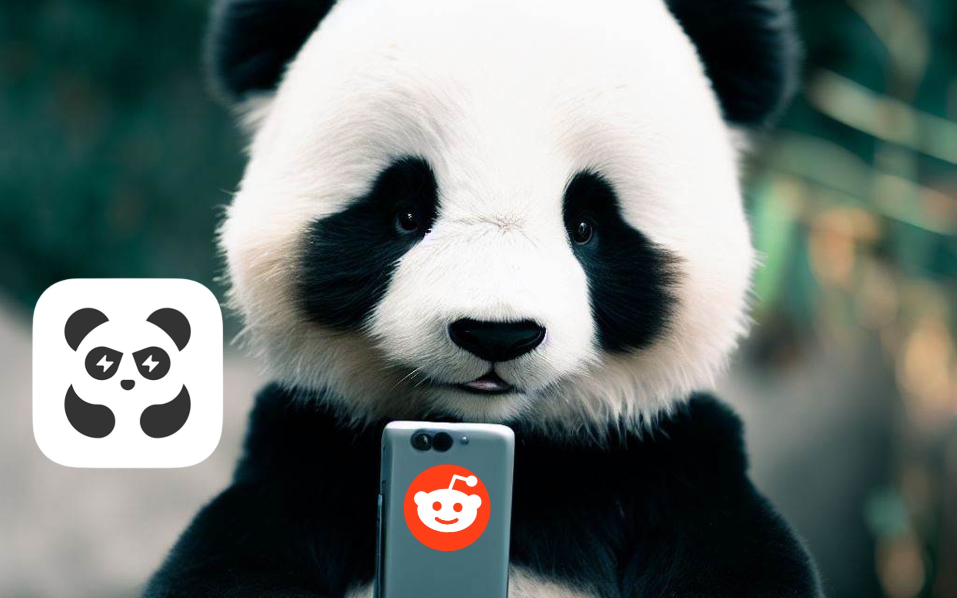 Los mejores spreadsheets de Reddit con enlaces a productos para comprar por Pandabuy