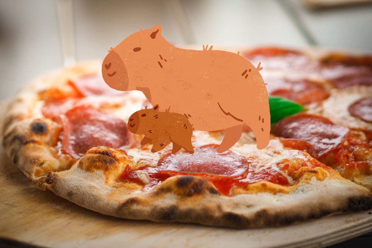 pizza-capibaras