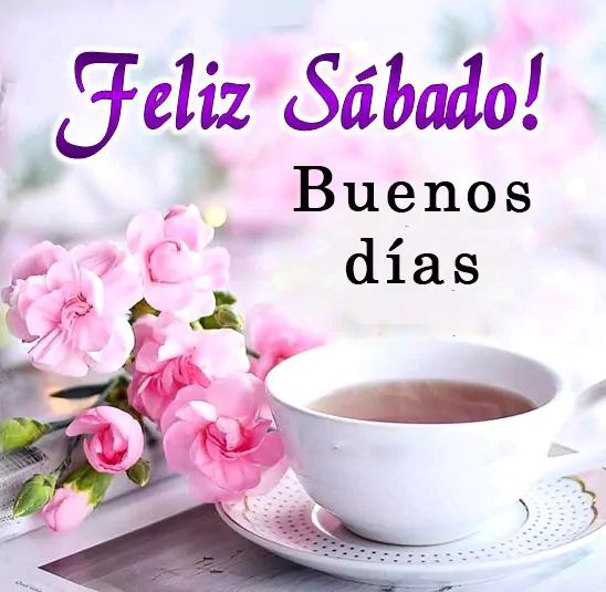 621a158d3e7b7c115dcd7dee50231010