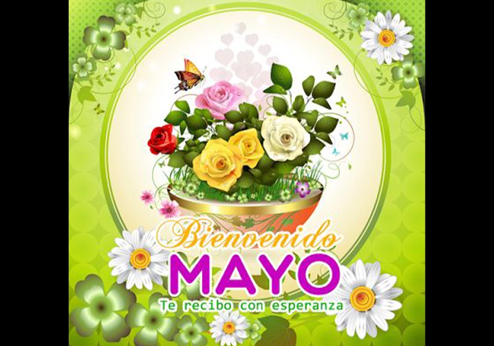 Imágenes de flores para dar la bienvenida a mayo por WhatsApp