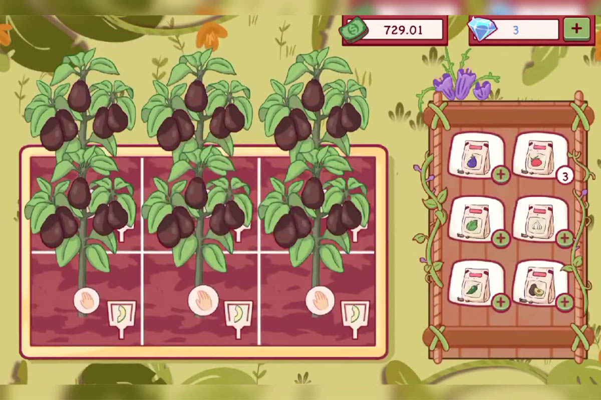 Pasos para cultivar semillas de aguacate en Buena Pizza Gran Pizza