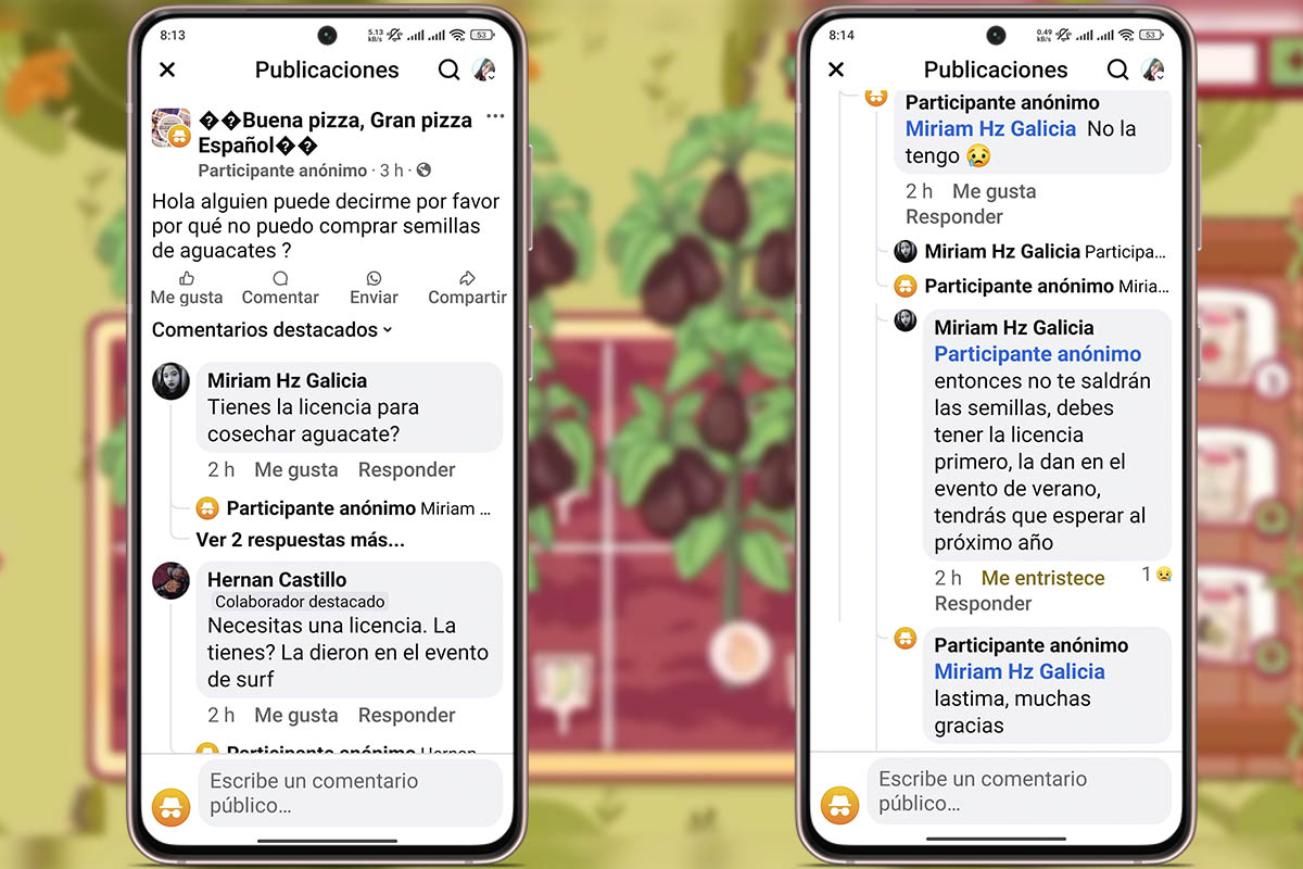Por qué no puedo comprar semillas de aguacates en Buena Pizza Gran Pizza: la verdadera razón descrita por la comunidad
