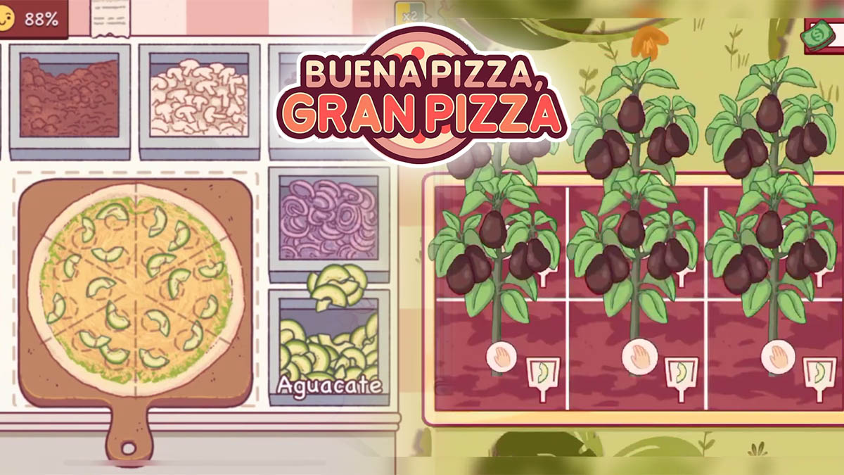 Por qué no puedo comprar semillas de aguacates en Buena Pizza Gran Pizza