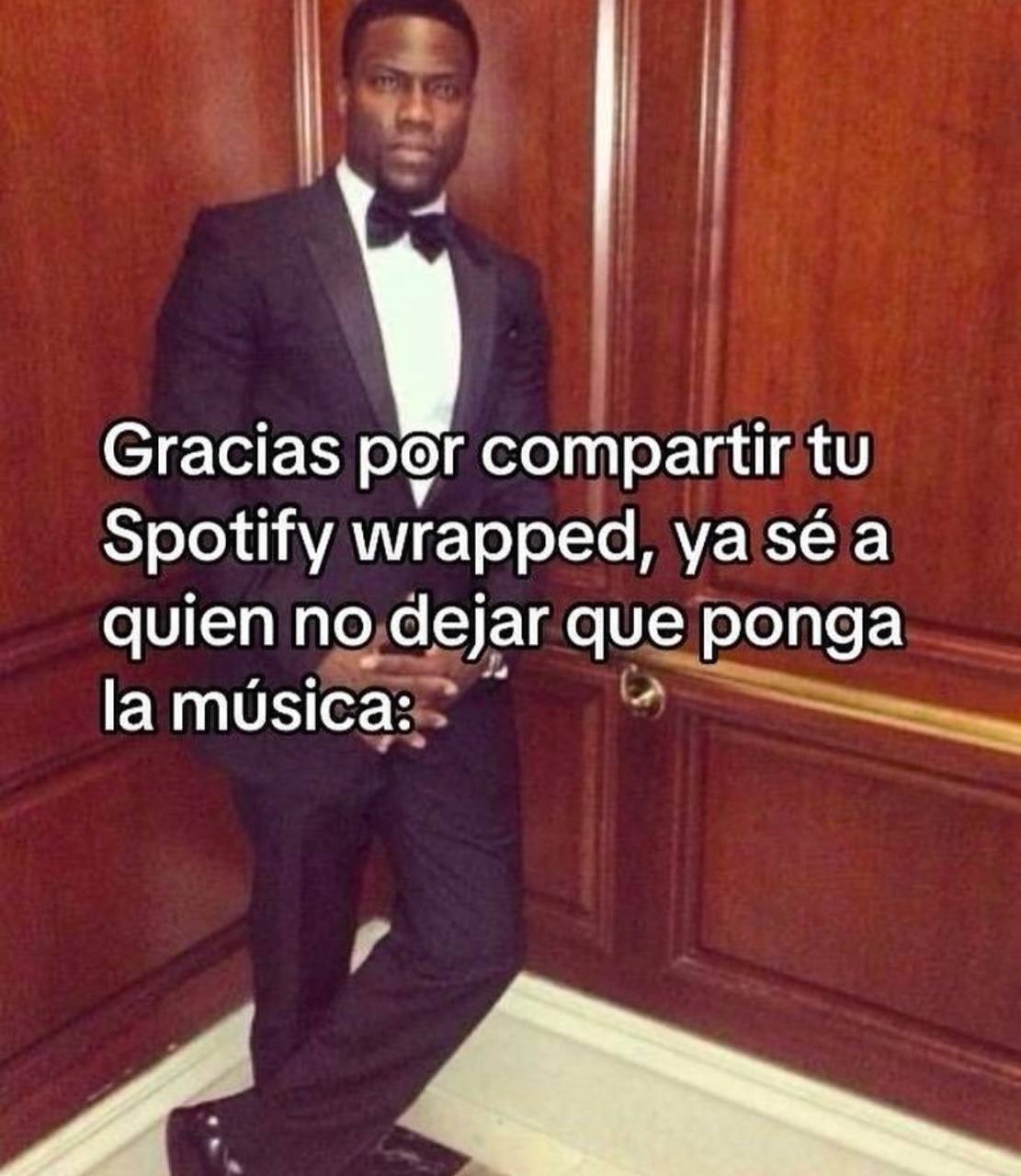 spotify wrapped meme 2024